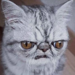 Александр Демин, 14.07, Москва