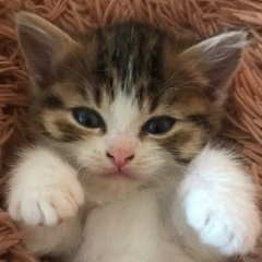 Геннадий Коновалов, 08.02, Челябинск