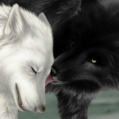 Arli Pansharov, 18.08.1995, Алматы