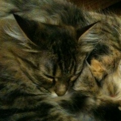 Гульнара Гилязова, 30.07.1986, Казань