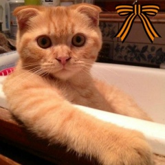 Михаил Матвеев, 25.07.1989, Екатеринбург