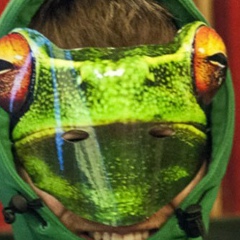 Anatoly Sokolov, 06.05.1985, Санкт-Петербург