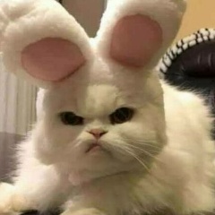 Татьяна Скальная, 06.05, Москва