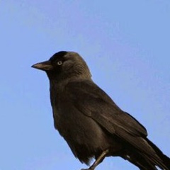 Светлана Сухарева, 26.01, Тамбов