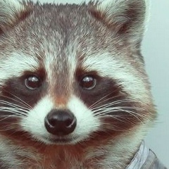 Дима Казимиров, 16.07, Ипатово