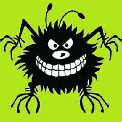 Сергій Бабаєнко, Новоград-Волынский