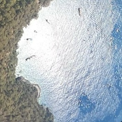 Алексей Беляйкин