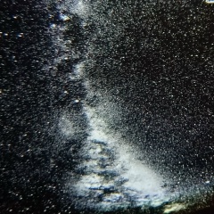 Артем Сергеев, Севастополь