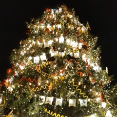 Андрей Малинин, 21.06.1985