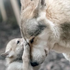 Ирина Белясова, 18.10.1988, Красноярск