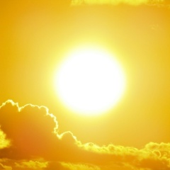 Sky Runner, Ташкент