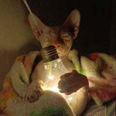 Мария Крантова, 18.09