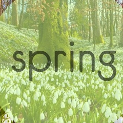 Артем Антонов, 12.06