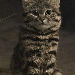 Та Ня, 03.08.1990, Калининград