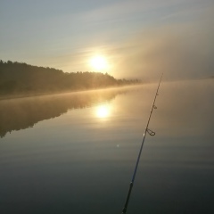 Sip Sip, 19.05, Санкт-Петербург