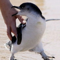 Виталий Филипов, Черкассы