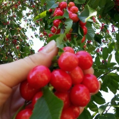 Ксения Бойчева, 08.09, Салехард