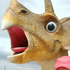 Денис Ломакин, 03.07.1980, Орёл