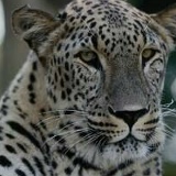 Евгений Рысев, 13.12.1917