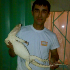 Алишер Нарзиев, 21.07.1983, Бухара