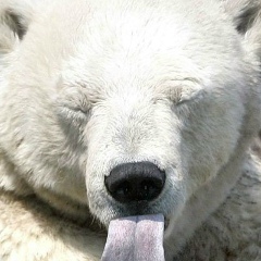 Иван Лендяшев, 17.01.1991, Санкт-Петербург