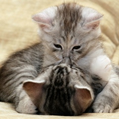 Айдар Хайбуллин, 14.01.1997, Тюмень