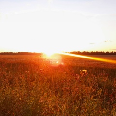 Дарья Александровна, 07.08.1991, Москва