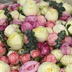 Яна Хусаинова, Ургенч