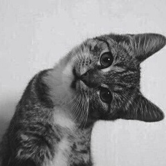 Айгерим Раева, 24.09.1990, München