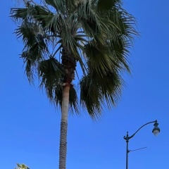 Aslan Masakov, 15.02, Bodø