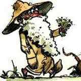 Денис Ольшевский