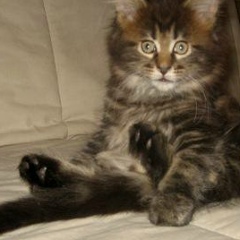 Алексей Орлов, 18.06.1975, Великий Новгород