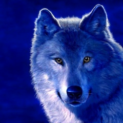 Баглан Аймахан, 18.02.1992, Астана