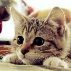 Кристина Полдникова