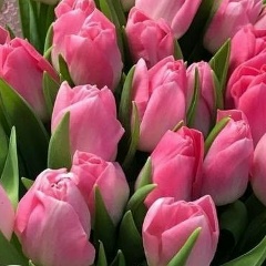 Алексей Гулевский, 02.02, Москва