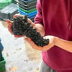 Маряшка Филатова, 05.03.1989, Москва