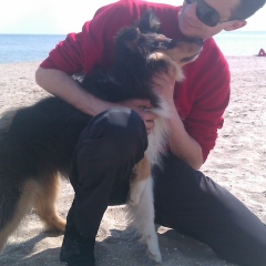 Константин Бондаренко, 01.01.1979, Одесса