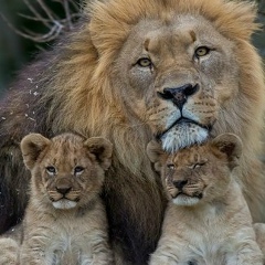 Хадиджа Евлоева, 10.01.1990, Назрань