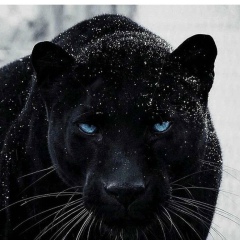 Иринка Комиссарова, 05.07, Самара