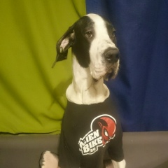 Serjy Semchenkoff, 13.09.1989, Санкт-Петербург