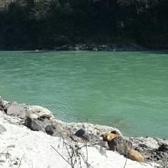 Татьяна Ковалева, 07.11.1981, Санкт-Петербург