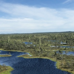 Inese Vinvalka, 11.02, Рига