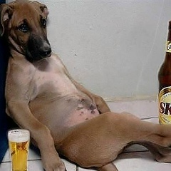 Илья Горячев, 07.04, Москва