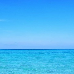 Элина Гофман, Санкт-Петербург