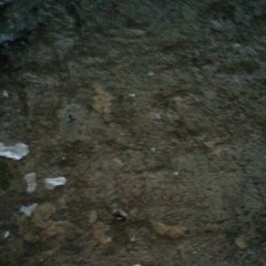 Игорь Федоров, 26.07, Якутск