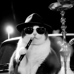 Андрей Гаврилов, Санкт-Петербург