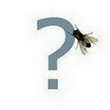 Александр Иванов, 20.02