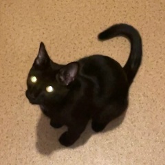 Александр Очередник, 24.08.1989, Хабаровск