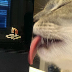 Вадим Сулейманов, 30.03, Berlin