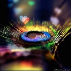 Евгения Федяева, 13.12.1985